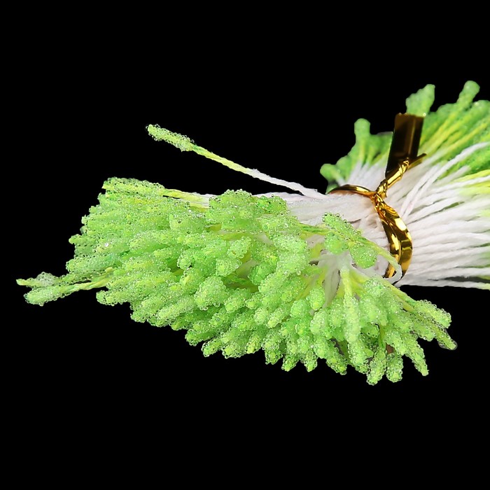 Тычинки для искусственных цветов "Пушистые светло-зелёные" длина 6 см (набор 170 шт)