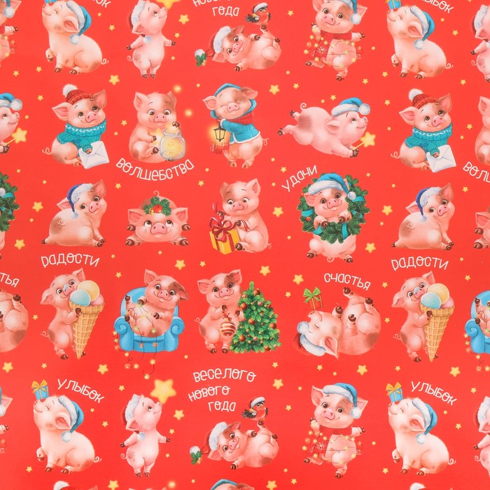 Бумага упаковочная глянцевая «Забавные свинки», 70 х 100 см