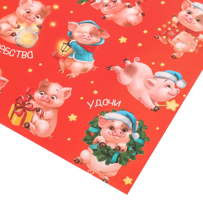 Бумага упаковочная глянцевая «Забавные свинки», 70 х 100 см