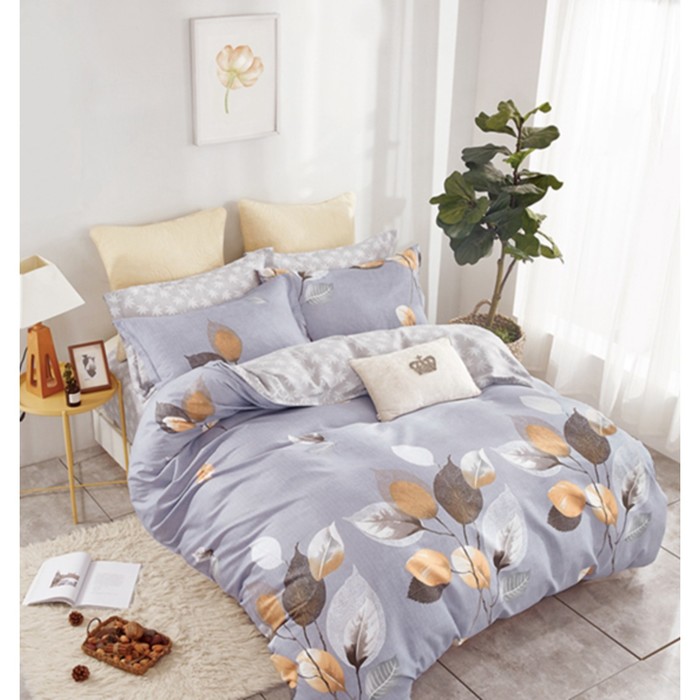 КПБ евро, 230х250 см, 200х220 см, 50х70 см, 70х70 см по 2 шт., сатин TPIG6-152