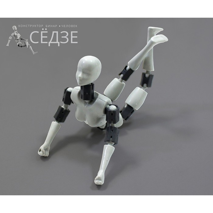 Конструктор «Бинар. Сёдзе»