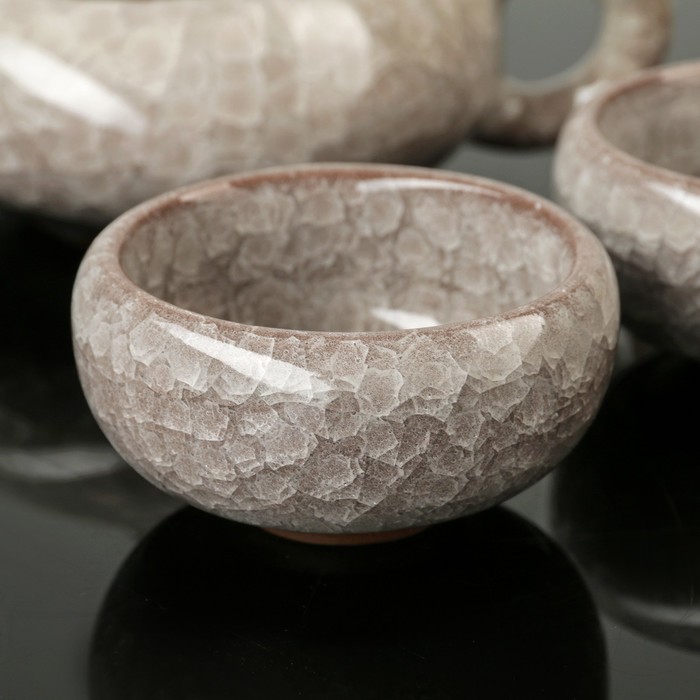 Набор для чайной церемонии "Искушение", 5 предметов: чайник 180 мл, 4 чашки 50 мл, цвет серый