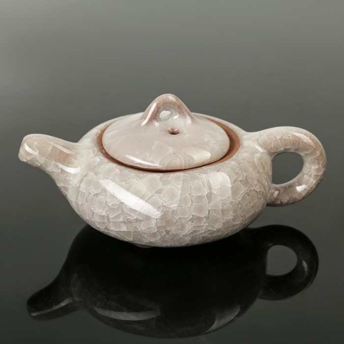 Набор для чайной церемонии "Искушение", 5 предметов: чайник 180 мл, 4 чашки 50 мл, цвет серый