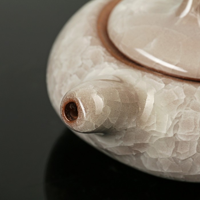 Набор для чайной церемонии "Искушение", 5 предметов: чайник 180 мл, 4 чашки 50 мл, цвет серый