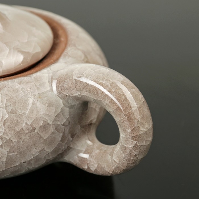 Набор для чайной церемонии "Искушение", 5 предметов: чайник 180 мл, 4 чашки 50 мл, цвет серый