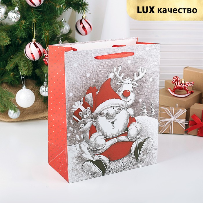 Пакет подарочный "Дед Мороз", 26 х 13,5 х 32 см