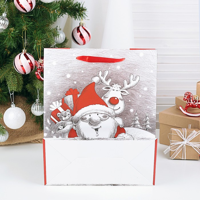 Пакет подарочный "Дед Мороз", 26 х 13,5 х 32 см