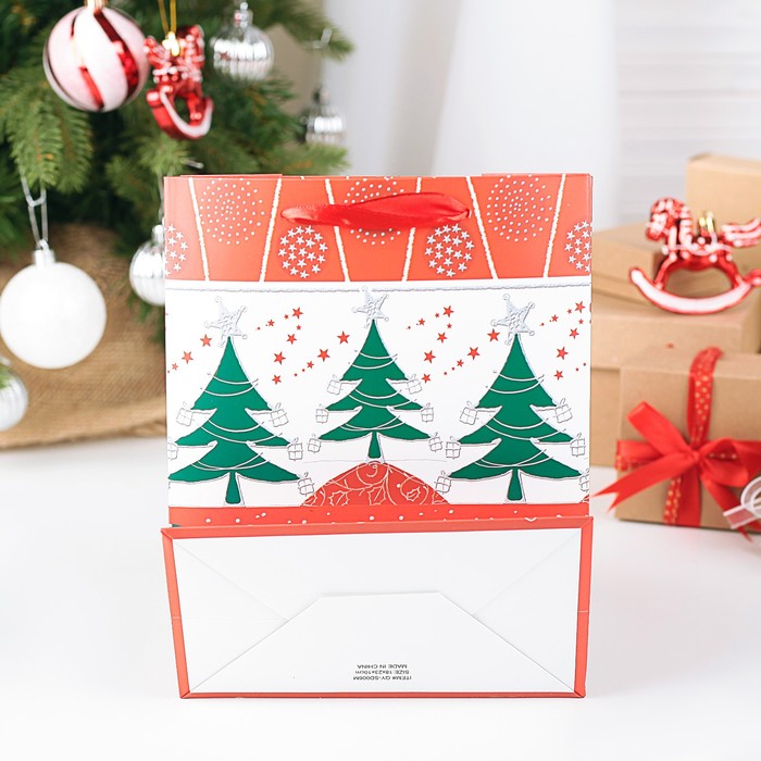 Пакет подарочный люкс, 18 х 10 х 23 см