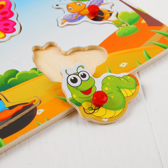 Рамка-вкладыш "Солнечные букашки", 6 элементов