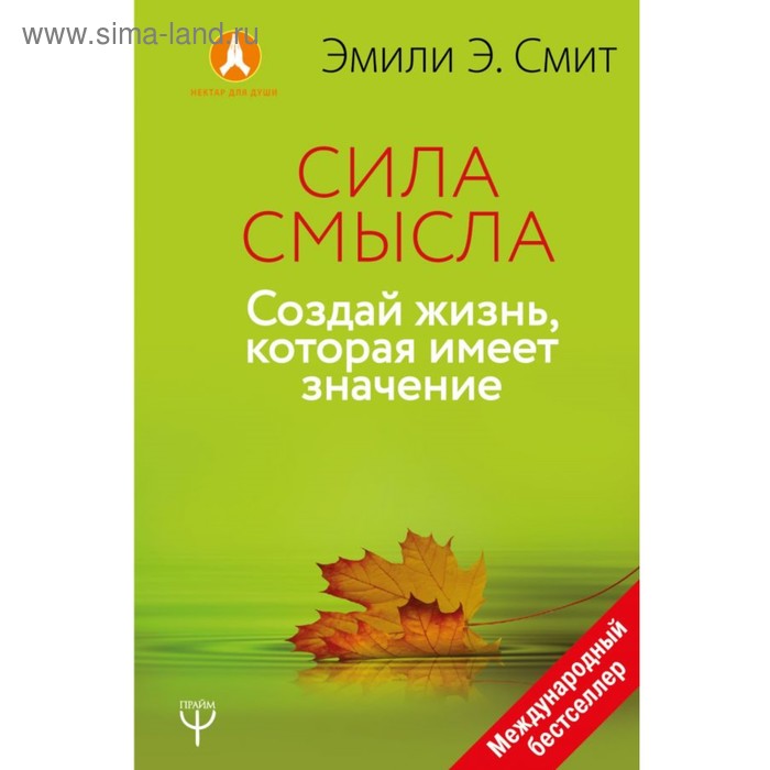 Сила смысла. Создай жизнь, которая имеет значение эстли джуди размер имеет значение роман