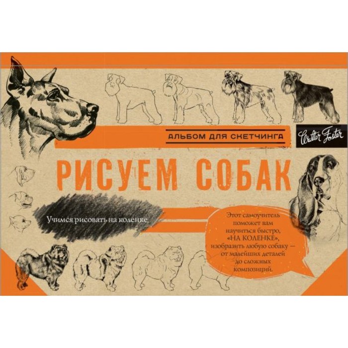 Рисуем собак