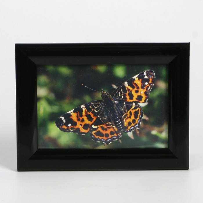 Фоторамка пластик 10х15 см (728) чёрный