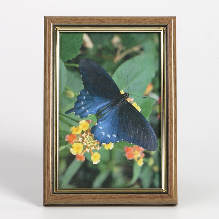 Фоторамка пластик 10х15 см (586Р) ольха