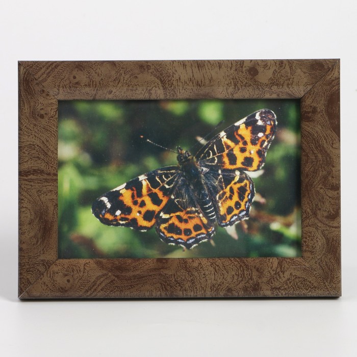 Фоторамка пластик 10х15 см (726) орех