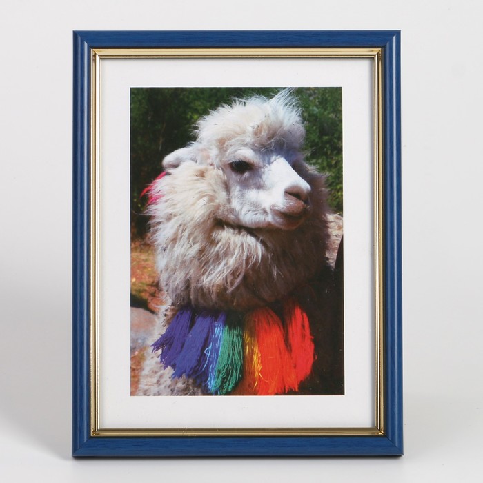 Фоторамка пластик 15х20 см (584Р) синий малахит