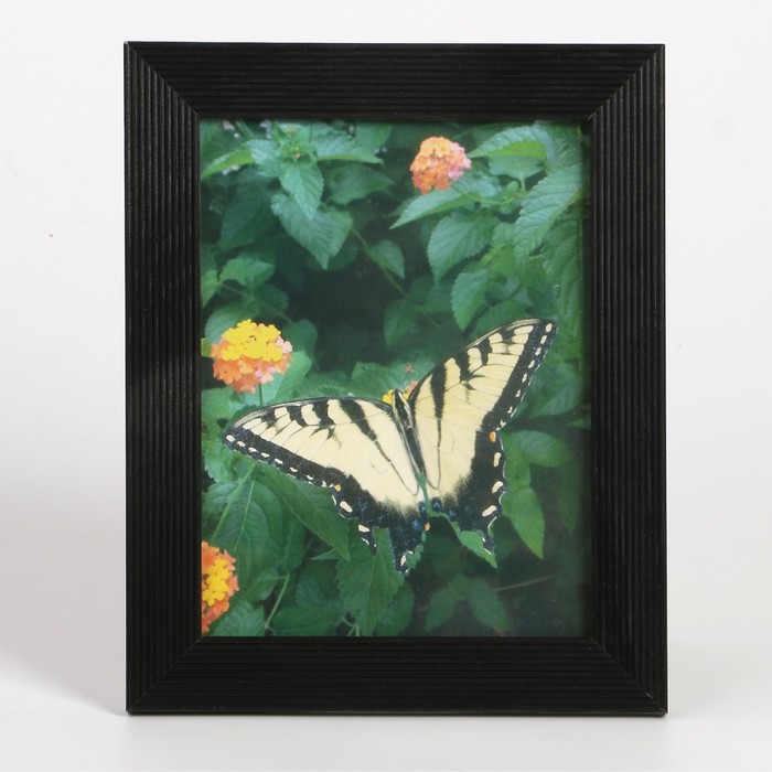 Фоторамка 15х20 см (5N68) чёрный