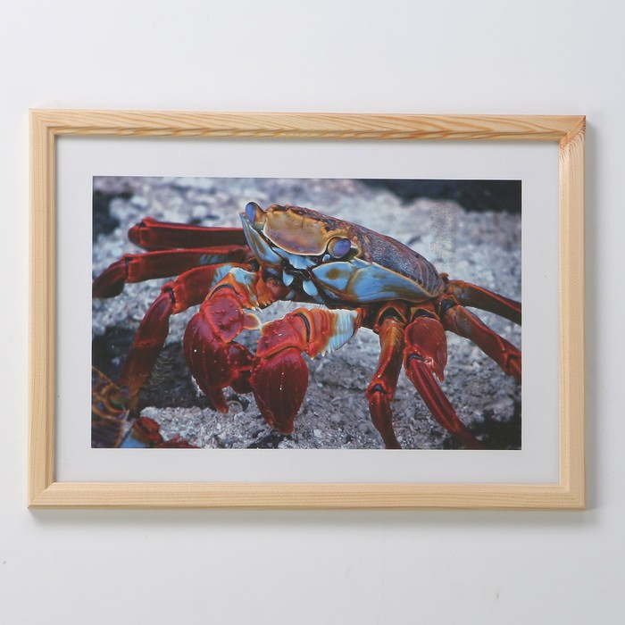 Фоторамка 21х30 см (7N92) бесцветный