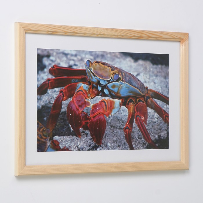 Фоторамка 21х30 см (7N92) бесцветный