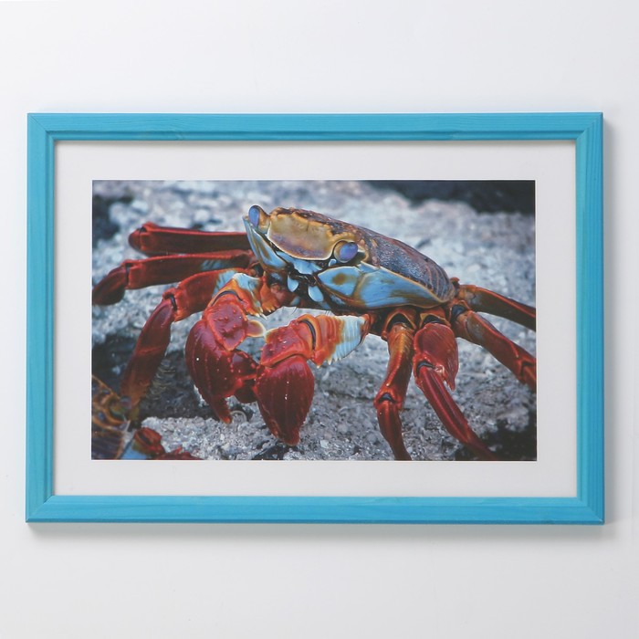 Фоторамка 21х30 см (7N92) голубой