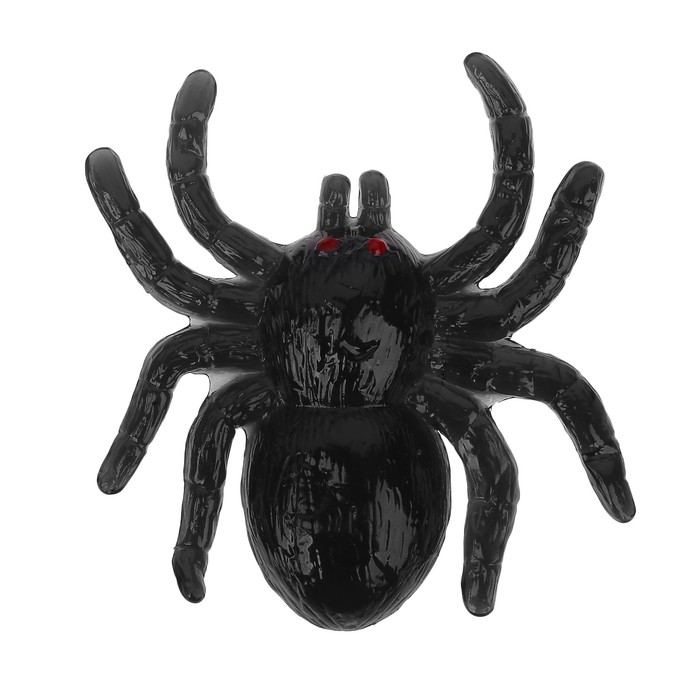 Липучка "Паук", цвета МИКС