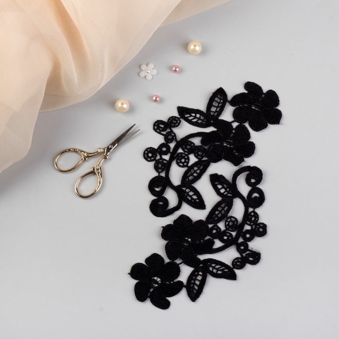 Аппликации пришивные "Лейсы", 18,5*8,5см, цвет чёрный