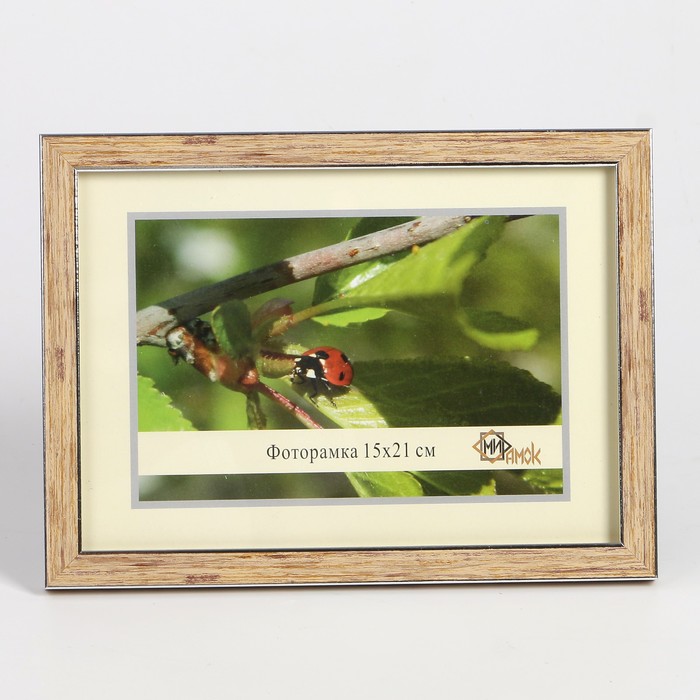 Фоторамка 1403-3009S 15х21 см