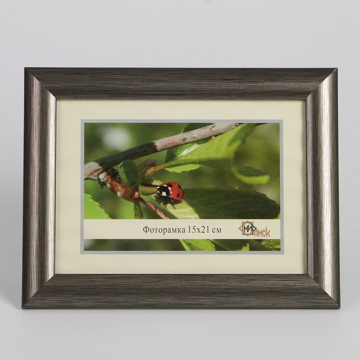 Фоторамка 742-3019 15х21 см