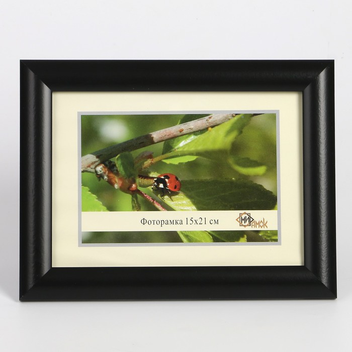 Фоторамка 742-Black 15х21 см