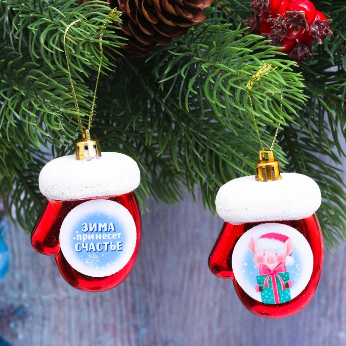 Набор подвесок на ёлку "Зима принесёт счастье!", 2 шт.