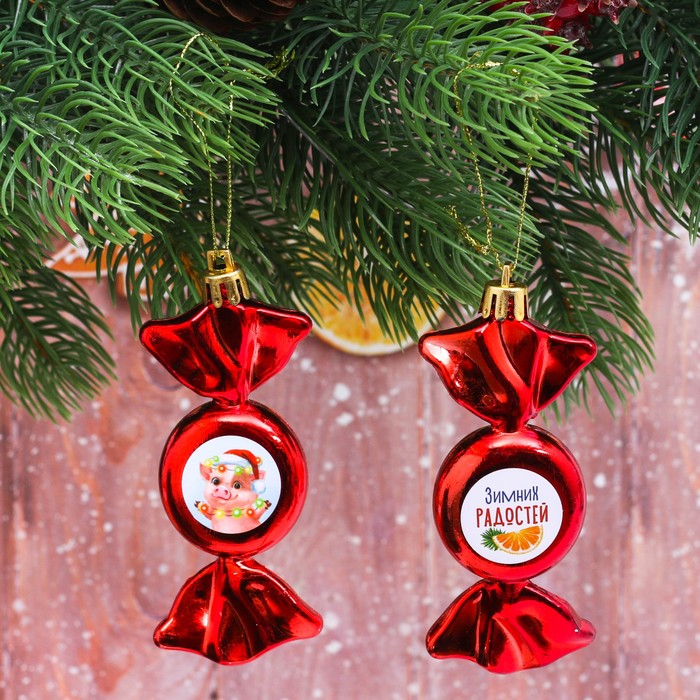 Набор подвесок на ёлку "Зимних радостей!", 2 шт.