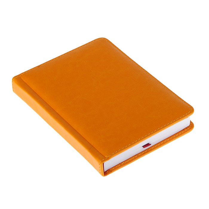 Ежедневник недатированный А6+, 136 листов Sidney Nebraska, искусственная кожа, золотой срез, оранжевый