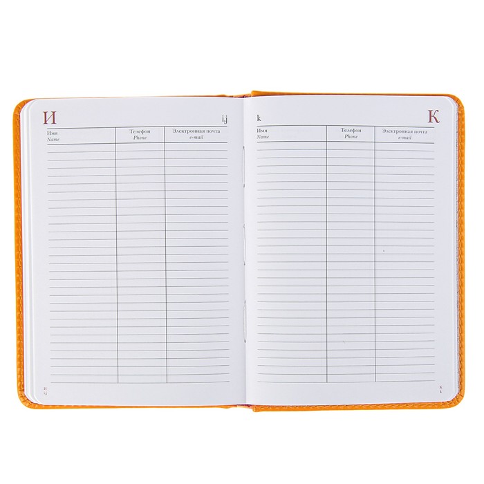 Ежедневник недатированный А6+, 136 листов Sidney Nebraska, искусственная кожа, золотой срез, оранжевый