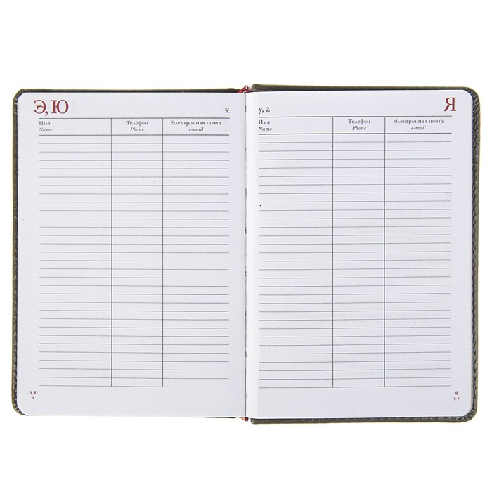 Ежедневник недатированный А6+, 136 листов Sidney Nebraska, искусственная кожа, золотой срез, серый