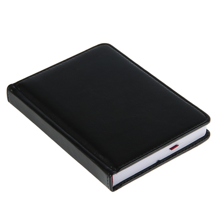 Ежедневник недатированный А6+, 136 листов Sidney Nebraska, искусственная кожа, золотой срез, чёрный