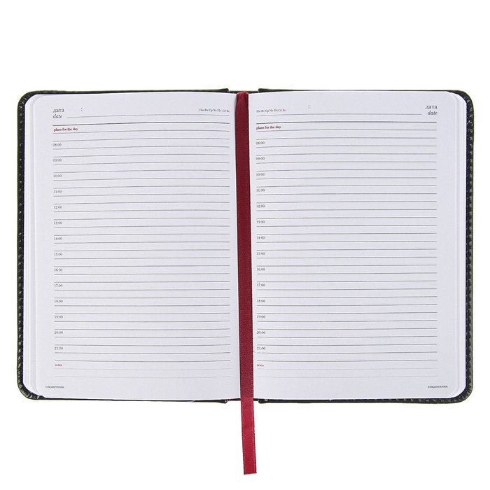 Ежедневник недатированный А6+, 136 листов Sidney Nebraska, искусственная кожа, золотой срез, чёрный