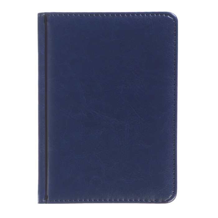 Ежедневник недатированный А6+, 136 листов Sidney Nebraska, искусственная кожа, золотой срез, синий