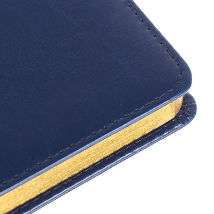 Ежедневник недатированный А6+, 136 листов Sidney Nebraska, искусственная кожа, золотой срез, синий