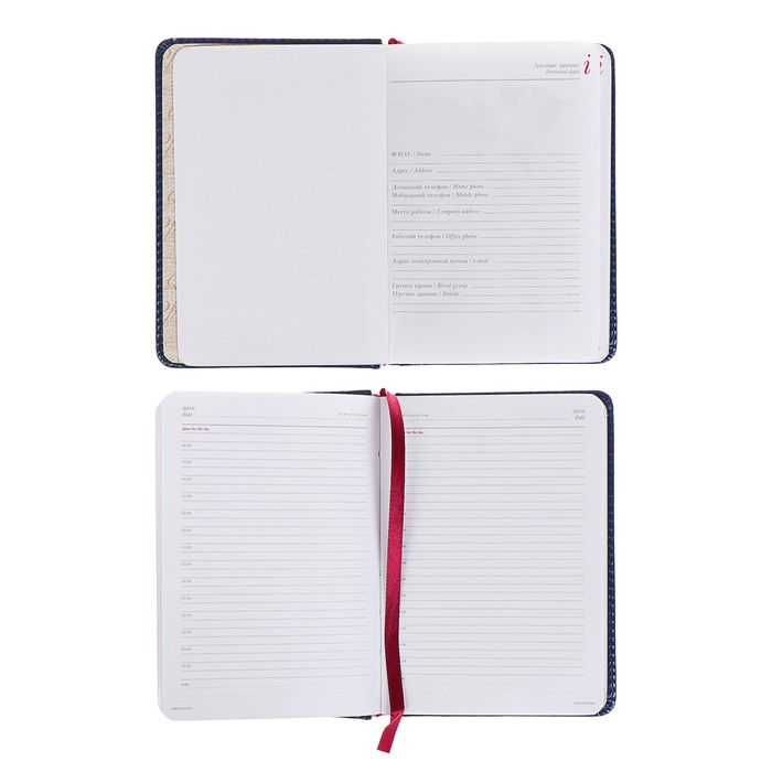 Ежедневник недатированный А6+, 136 листов Sidney Nebraska, искусственная кожа, золотой срез, синий