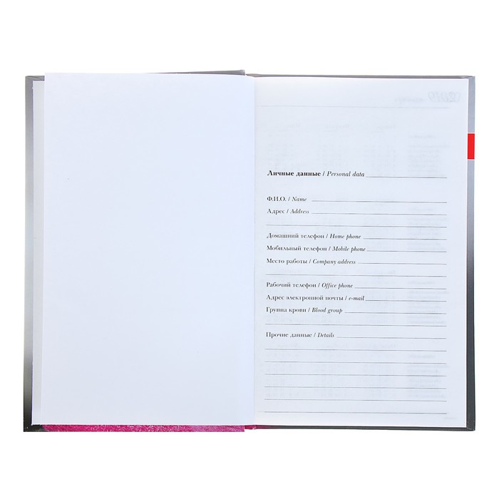 Ежедневник недатированный А5, 136 листов "Щеночек", твёрдая обложка, глянцевая ламинация