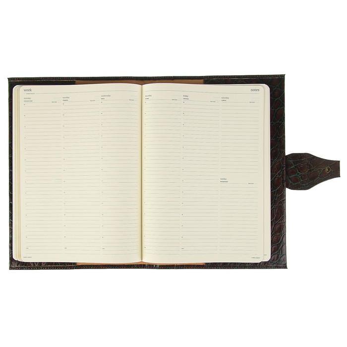 Еженедельник недатированный А4, 64 листа Nilo, натуральная кожа, сменный блок, золотой срез, коричневый
