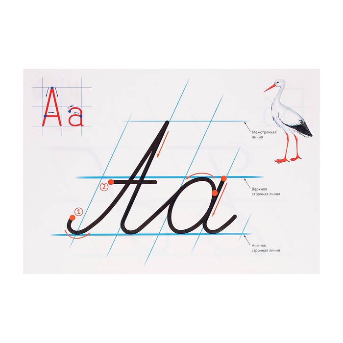 Набор "Учимся каллиграфии", образцы написания букв, 32 стр., А4