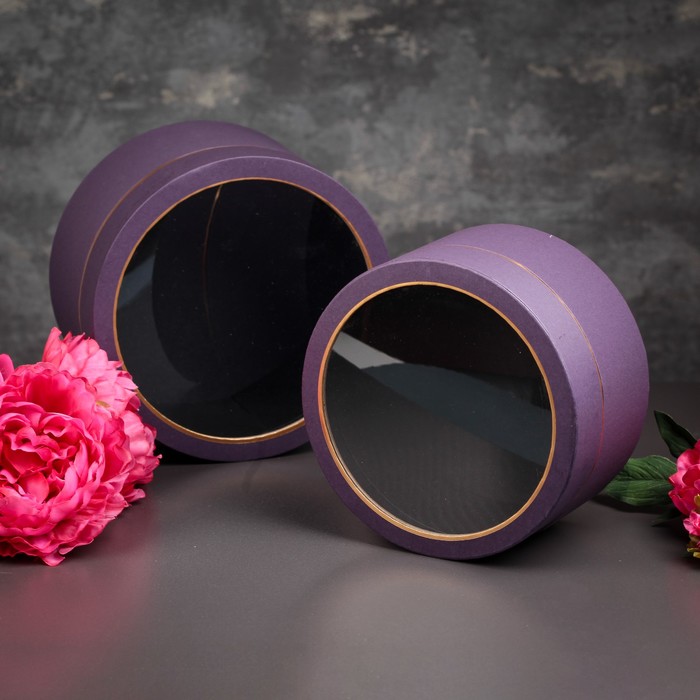 Набор коробок 2в1, 22,5 х 13 - 20,5 х 11 см