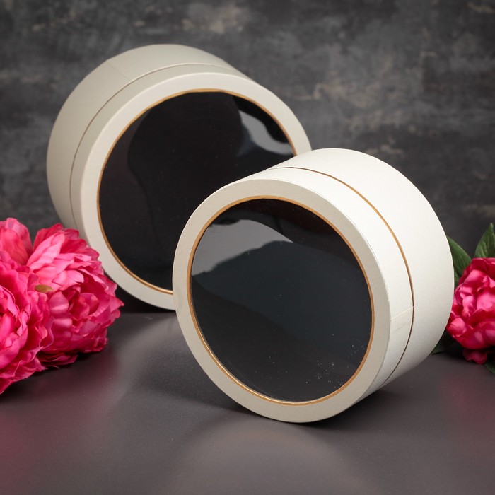 Набор коробок 2в1, 22,5 х 13 - 20,5 х 11 см