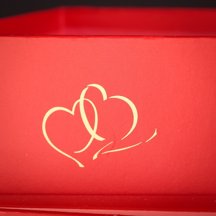 Коробка подарочная, 19 х 19 х 20,5 см