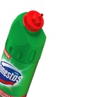 Чистящее и дезинфицирующее средство Domestos "Хвойная свежесть", универсальное, 500 мл - Фото 3