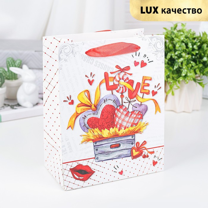 Пакет подарочный "Сердца", люкс, 18 х 8 х 23 см