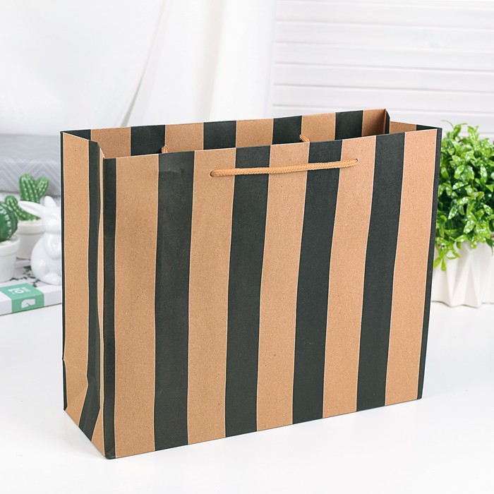 Пакет крафт "Полосатый", 30 х 10 х 25 см