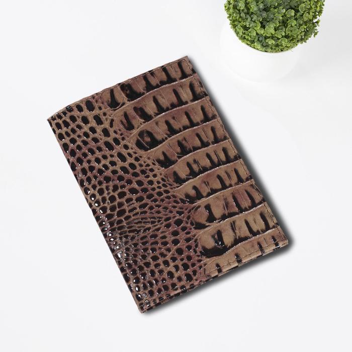 Обложка для автодок., б/з, цвет коричневый темный кайман