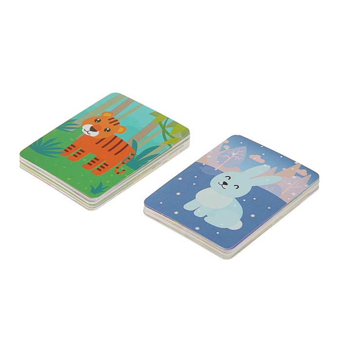 Малышарики. Супермемори. Животные МС11317