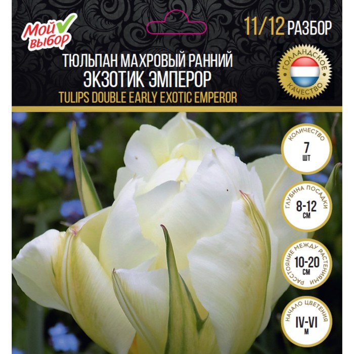 Тюльпан махровый ранний Экзотик Эмперор, р-р 11/12, 7 шт
